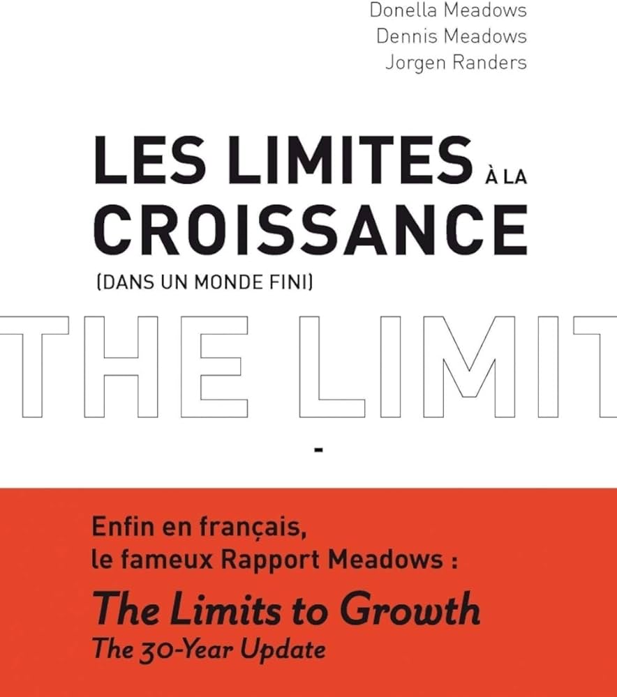 61BGIZljijL._AC_UF10001000_QL80